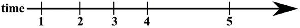 Fig 2.2 – Time only connections